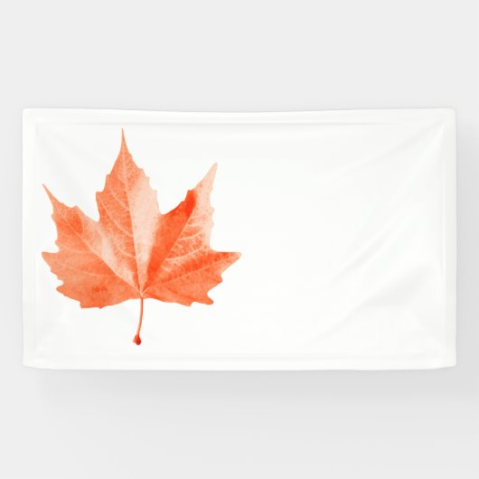 Ahornherbstblatt Banner (Horizontal)