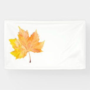 Ahornherbstblatt Banner