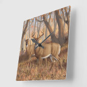 Ahornholz von Whitetail Deer Buck & Dos Quadratische Wanduhr (Winkel)