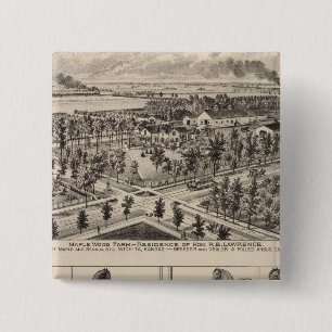 Ahornholzfarm, Kansas Button