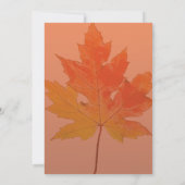 Ahornleaf Burnt Orange Erntedank Festessen Einladung (Rückseite)