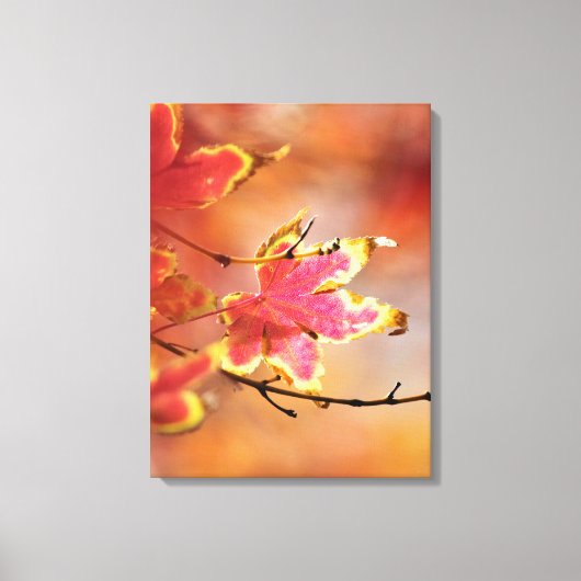Ahornleaf Canvas Print Leinwanddruck (Vorderseite)