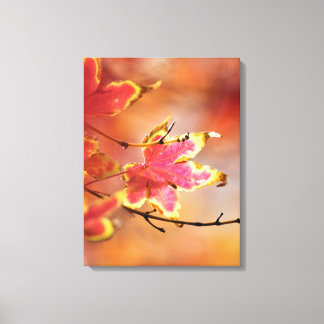 Ahornleaf Canvas Print Leinwanddruck