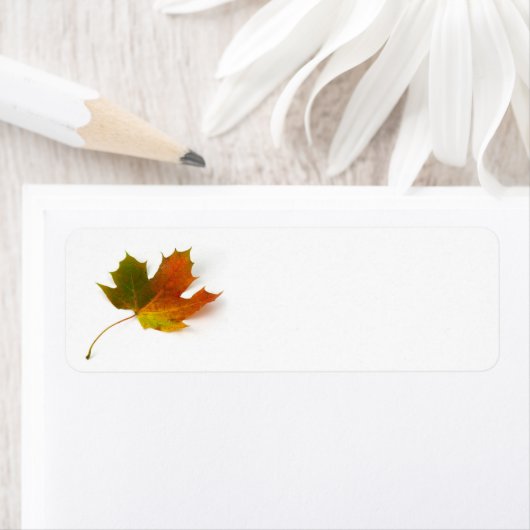 Ahornleaf-Etikett (Insitu)