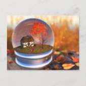 Ahornleaf Globe Postkarte (Vorderseite)