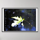 Ahornleaf I Poster (Vorne)