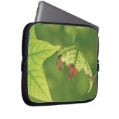 Ahornleaf Laptopschutzhülle (Vorne Rechts)