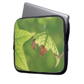 Ahornleaf Laptopschutzhülle (Vorderseite Links)