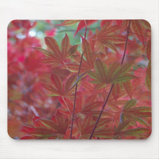 Ahornleaf Mousepad (Vorne)