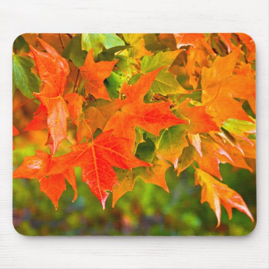 Ahornleaf Mousepad (Vorne)