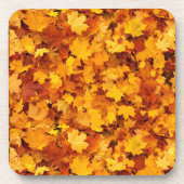 Ahornleaf-Muster Getränkeuntersetzer (Vorderseite)