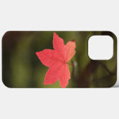 Ahornleaf Nature Foto Case-Mate iPhone Hülle (Rückseite (Horizontal))