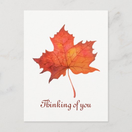 Ahornleaf Postkarte (Vorderseite)