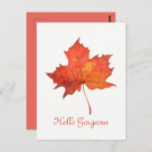 Ahornleaf Postkarte (Vorne/Hinten)