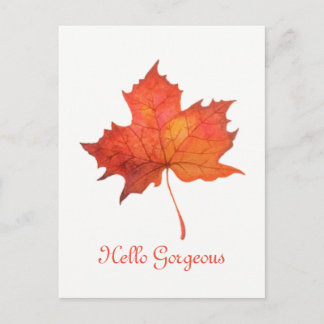 Ahornleaf Postkarte
