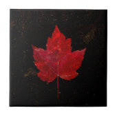Ahornleaf Red Black Gold Country Fall Textur Fliese (Vorderseite)