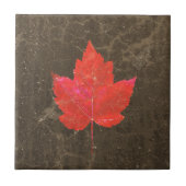 Ahornleaf Roter Brauner Herbst Land Textur Fliese (Vorderseite)