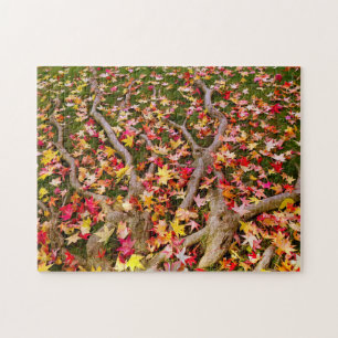 Ahornleavs Puzzle