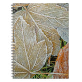 AhornNotebook Notizblock (Vorderseite)