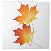 Ahornpaare auf einer Keramik Fliese (Vorderseite)