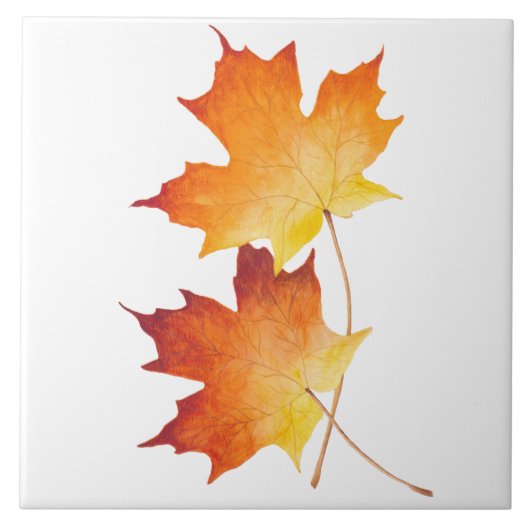 Ahornpaare auf einer Keramik Fliese (Vorderseite)