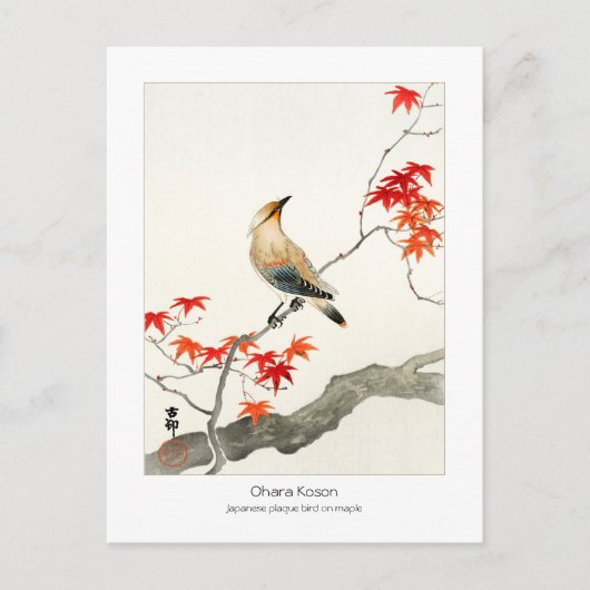 Ahornpilzvogel - Ohara Koson - Postkarte (Vorderseite)
