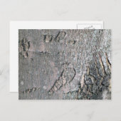 Ahornrinde Postkarte (Vorne/Hinten)