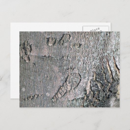 Ahornrinde Postkarte (Vorne/Hinten)