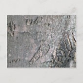 Ahornrinde Postkarte (Vorderseite)