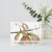 Ahornsaat Postkarte (Stehend Vorderseite)