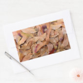 Ahornsamen Textur Muster Natur Hintergrund Rechteckiger Aufkleber (Umschlag)