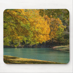 Ahornschirm über Dogwood-Bach Mousepad