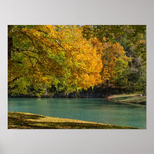 Ahornschirm über Dogwood-Bach Poster (Vorne)