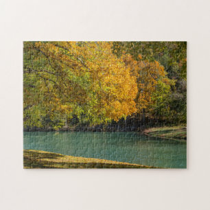 Ahornschirm über Dogwood-Bach Puzzle