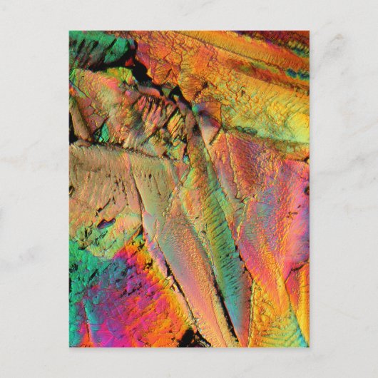 Ahornsirup Postkarte (Vorderseite)