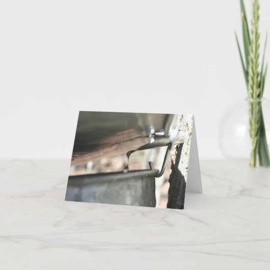 Ahornsirup-Saft fließt Natur Personalized (Vorderseite)