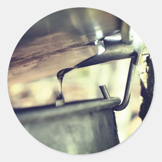 Ahornsirup-Sap Laufende Natur Runder Aufkleber (Vorderseite)