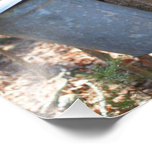 Ahornsirup Zucker-Sap-Eimer auf Baum 8x8 Fotodruck (Ecke)