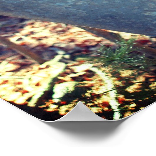 Ahornsirup Zucker-Sap-Eimer auf Baum Poster (Ecke)