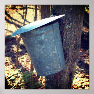 Ahornsirup-Zuckersaft-Eimer am Baum Poster