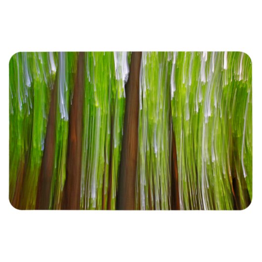 Ahornwald Abstrakt Magnet (Horizontal)
