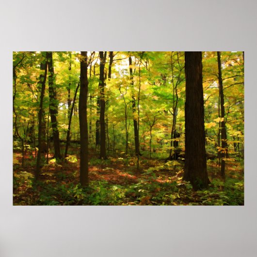 "Ahornwald" Poster (Vorne)
