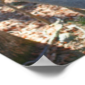 Ahornzuckerklemme auf Baumnatur Poster (Ecke)