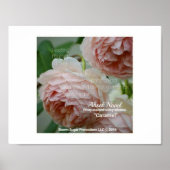 Ahsek Novel Caramel Gedicht von Ahsek Novel Poster (Vorne)