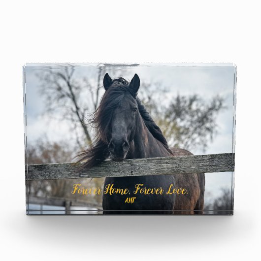 AHT-Foto-Block Fotoblock (Vorderseite)