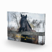 AHT-Foto-Block Fotoblock (Rechts)