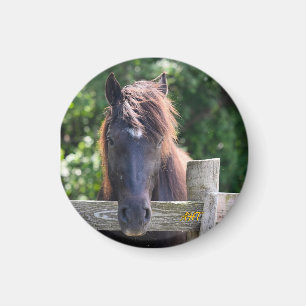 AHT Pferd Magnet