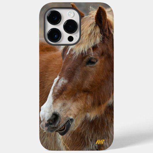 AHT-Pferdescue Case-Mate iPhone Hülle (Rückseite)