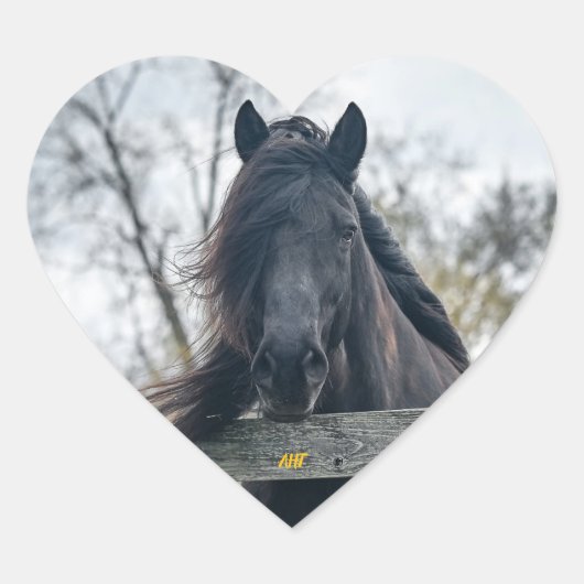 AHT-Pferdescue Herz-Aufkleber (Vorderseite)