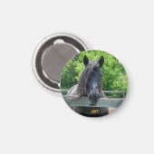 AHT-Pferdescue Magnet (Vorderseite/Rückseite)